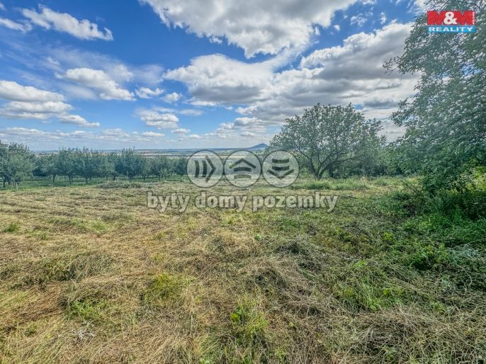 Prodej, Zahrada, Třebenice