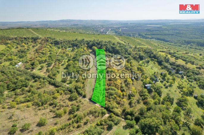 Prodej, Zahrada, Židlochovice