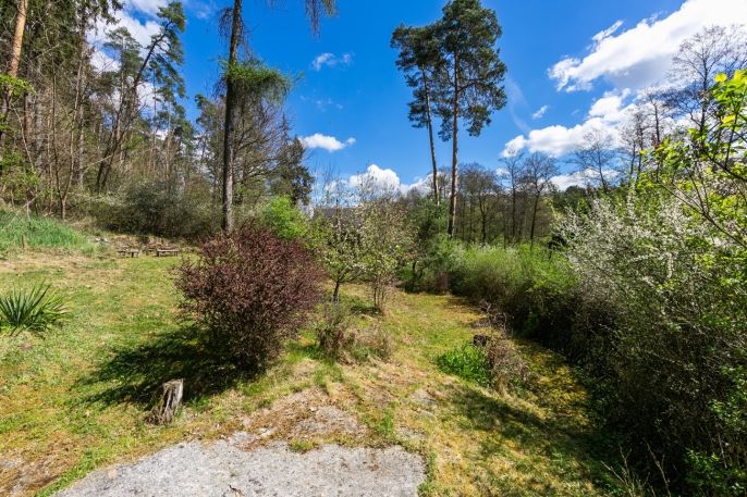 Prodej, Chata, Česká Bříza