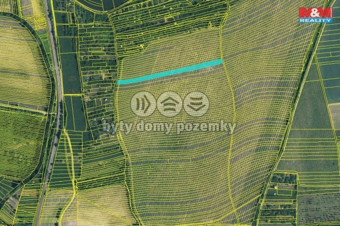 Prodej, Vinice, Kyjov