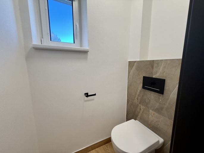 Pronájem, Byt 3+kk, Hať