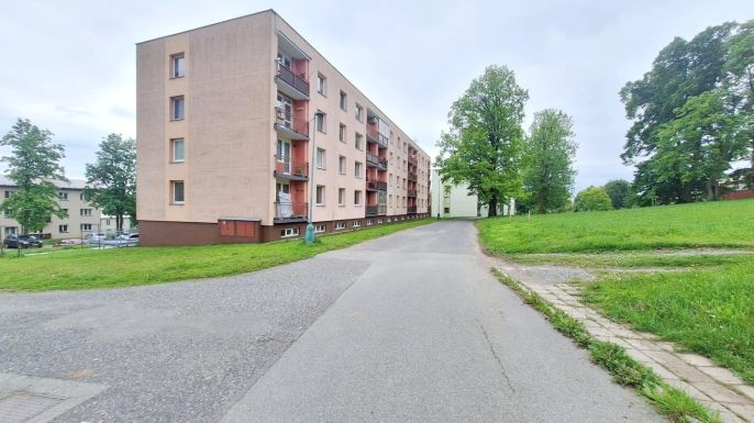 Pronájem, Byt 1+1, Rokytnice v Orlických horách