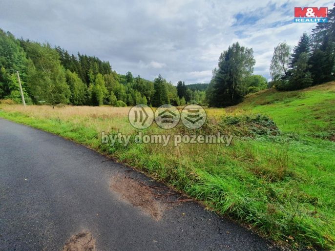 Prodej, Ostatní, Pila