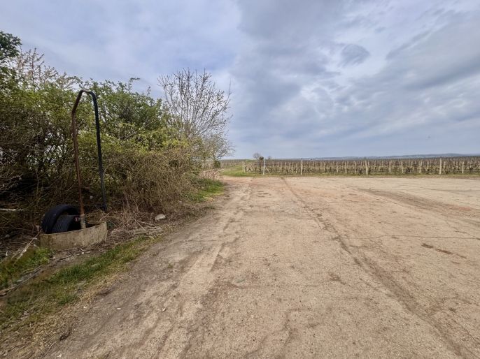 Prodej, Vinice, Velké Bílovice