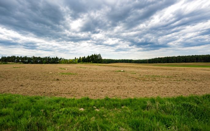 Prodej, Pole, Tisová