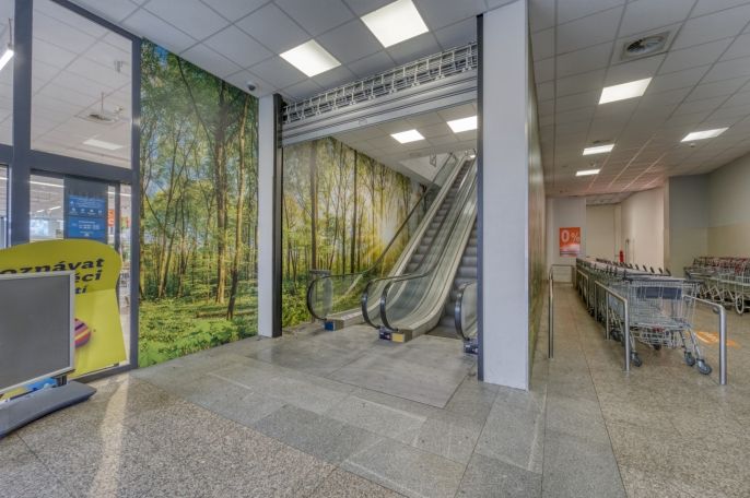 Pronájem, Obchod a služby, Plzeň