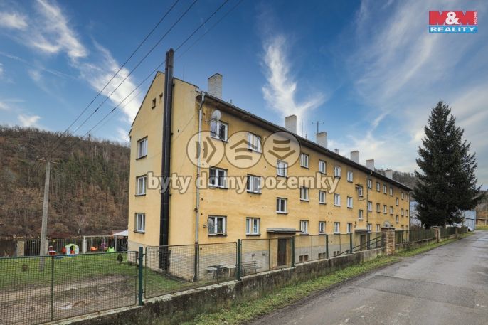 Prodej, Byt 2+1, Solenice