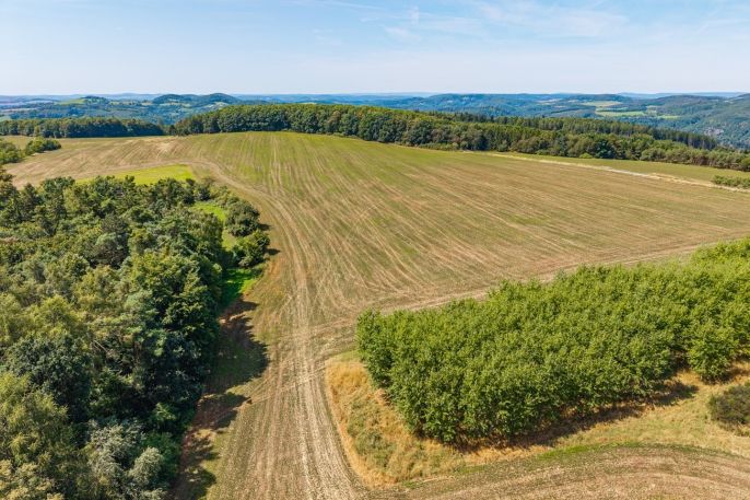 Prodej, Pole, Křečovice