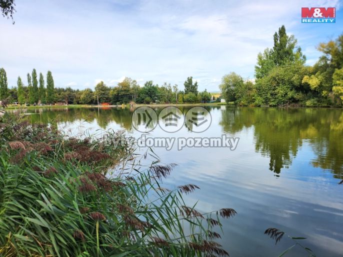 Prodej, Chata, Rokle