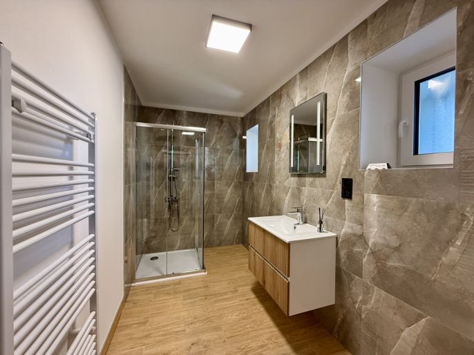 Pronájem, Byt 3+kk, Hať