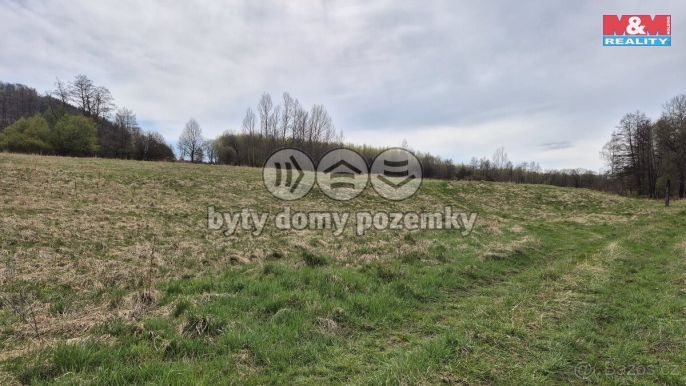 Prodej, Louka, Česká Kamenice