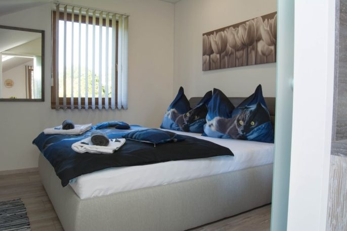 Pronájem, Byt 2+kk, Vřesina