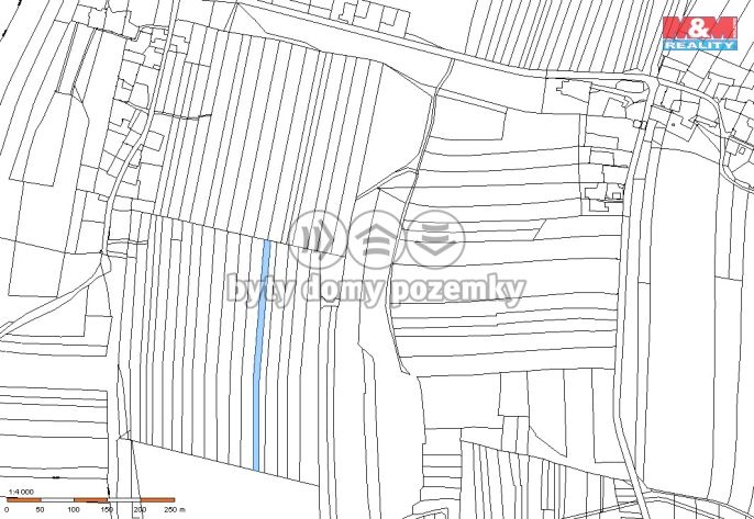 Prodej, Les, Dražíč