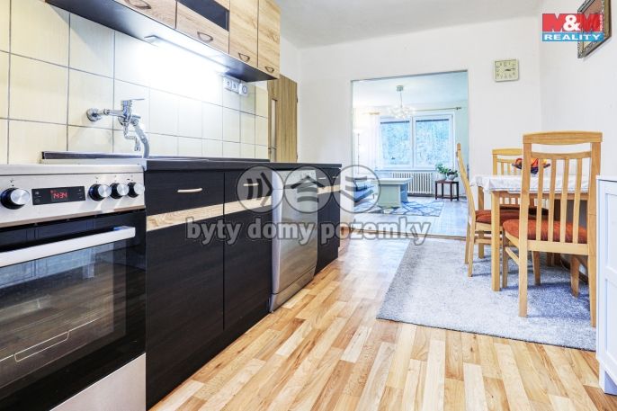 Prodej, Byt 2+1, Solenice