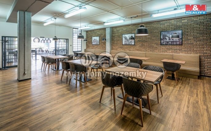 Pronájem, Kancelářský prostor, Ostrava