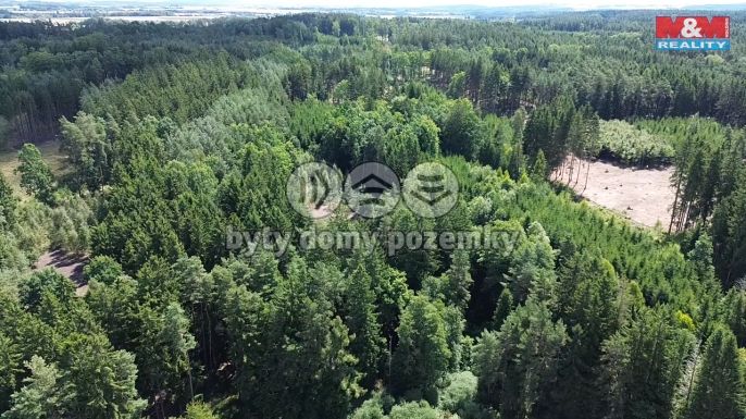 Prodej, Les, Opařany