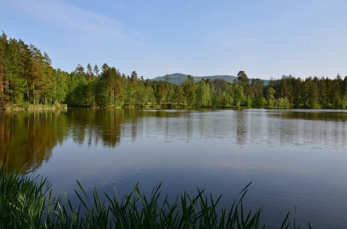 Prodej, Hotel, penzion, Černá Voda