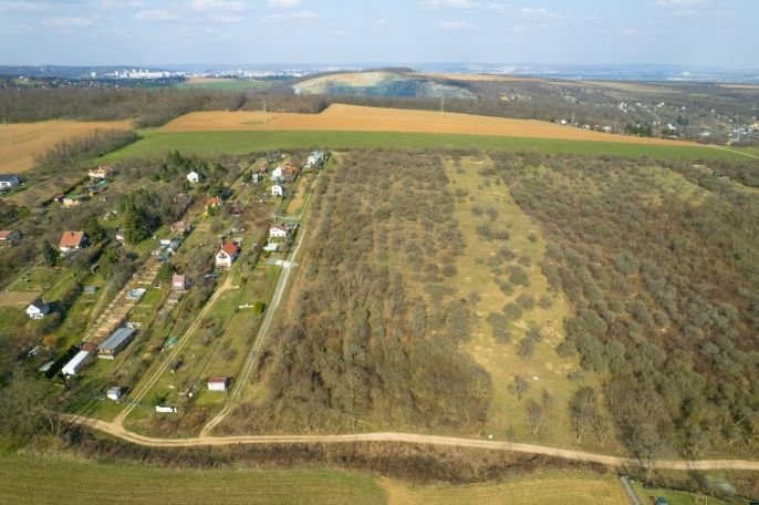 Prodej, Ovocný sad, Želešice