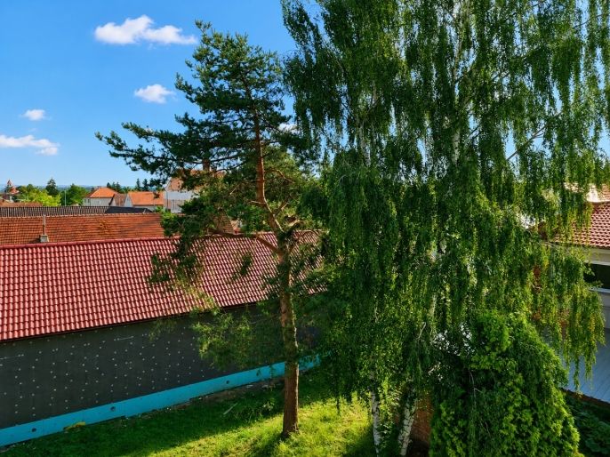 Pronájem, Byt 3+1, Velký Osek