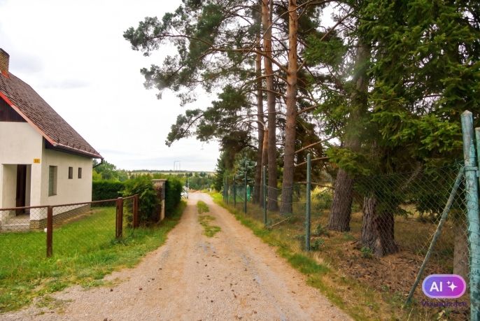 Prodej, Chata, Družec
