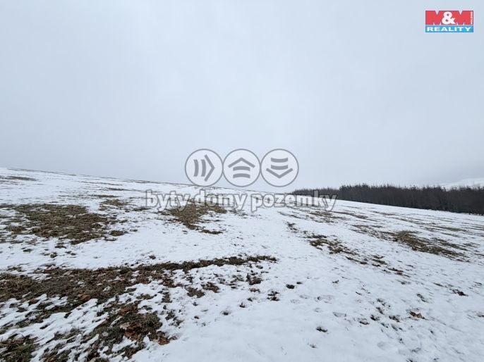 Prodej, Louka, Lichkov