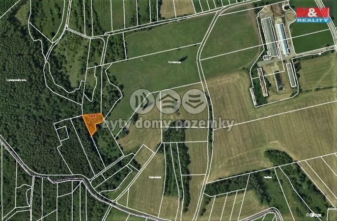 Prodej, Les, Borotín