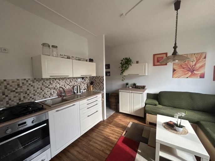 Pronájem, Byt 1+1, Ústí nad Labem