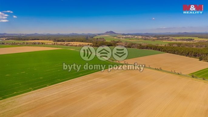 Prodej, Pole, Čistá