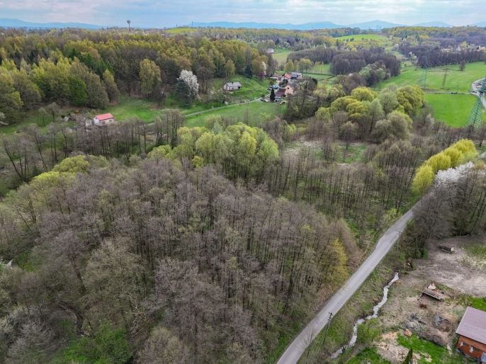 Prodej, Pole, Dětmarovice