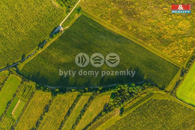 Prodej, Vinice, Šardice