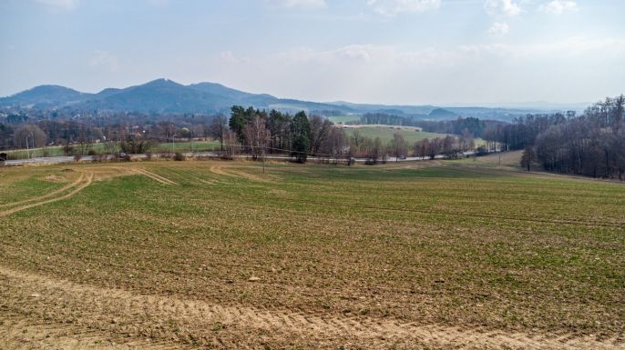 Prodej, Pole, Chotovice