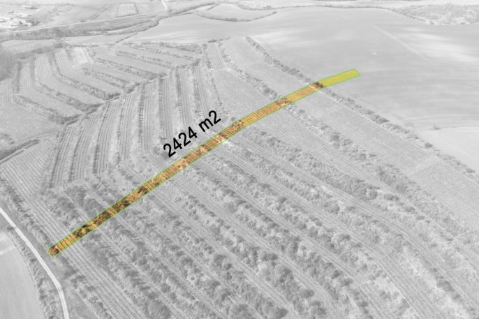 Prodej, Vinice, Morkůvky