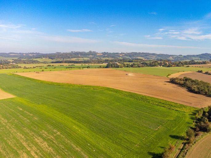 Prodej, Pole, Bystřice
