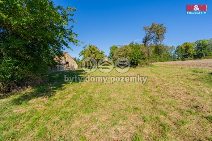 Prodej, Zemědělská usedlost, Dříteň