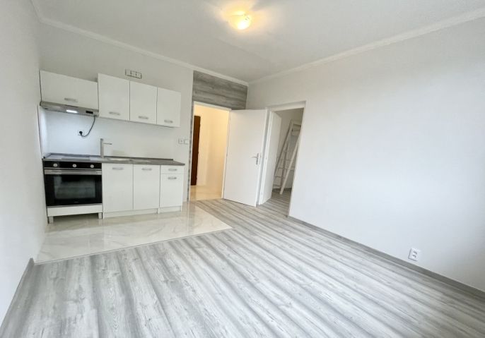 Pronájem, Byt 1+1, Sokolov