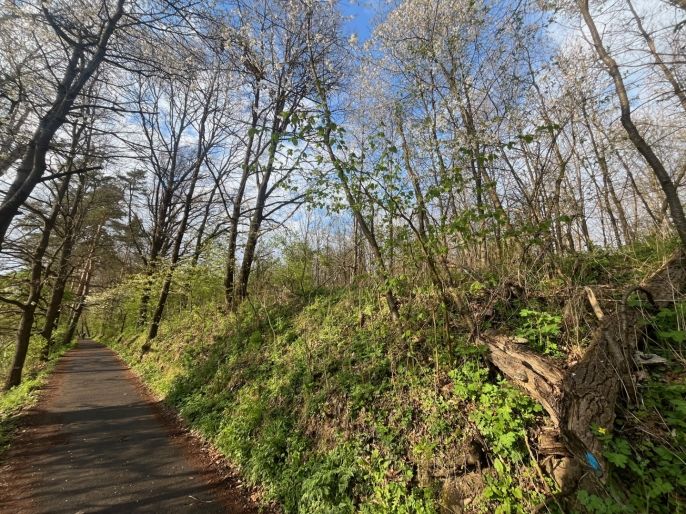 Prodej, Pole, Písek