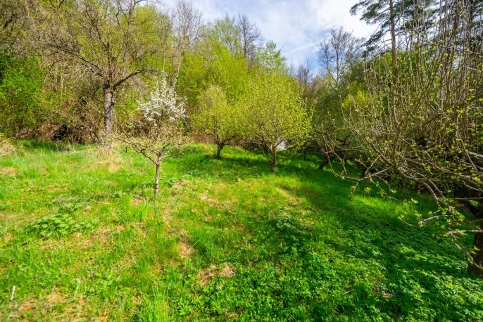 Prodej, Chalupa, Vranov nad Dyjí