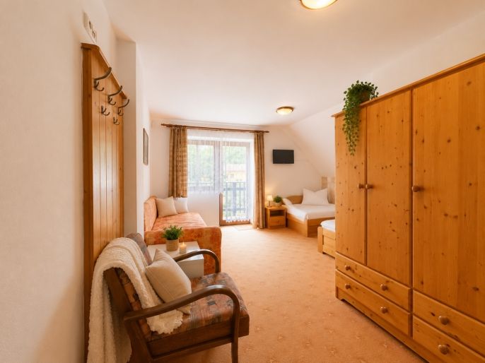 Prodej, Hotel, penzion, Nová Pec