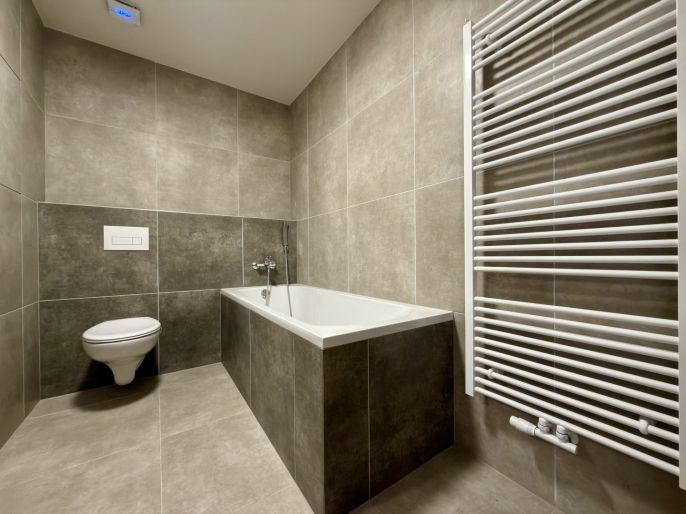 Pronájem, Byt 1+kk, České Budějovice