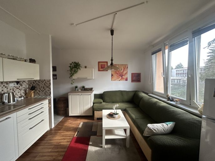 Pronájem, Byt 1+1, Ústí nad Labem