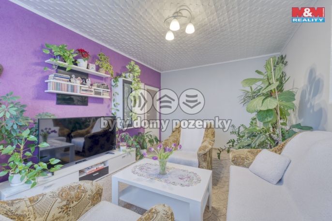 Prodej, Byt 2+1, Bor