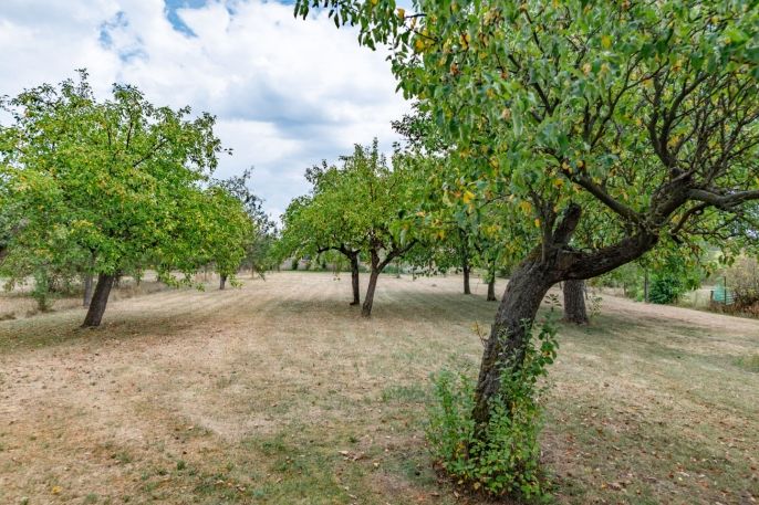 Prodej, Zemědělská usedlost, Přešťovice