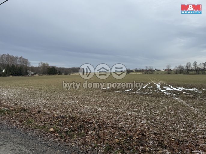 Prodej, Pole, Petrovice u Karviné