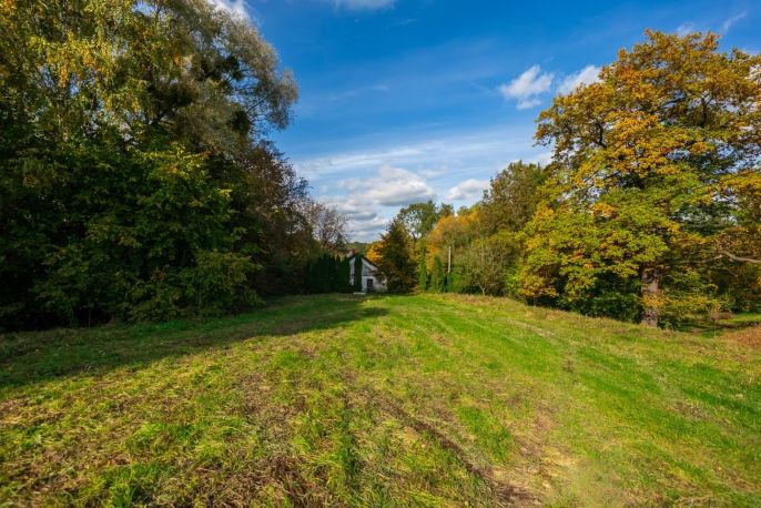 Prodej, Rodinný dům, Chotěbuz