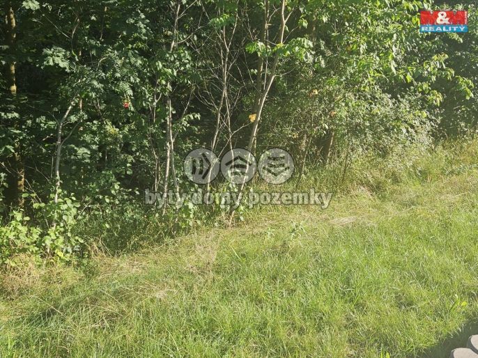 Prodej, Pole, Bystřice