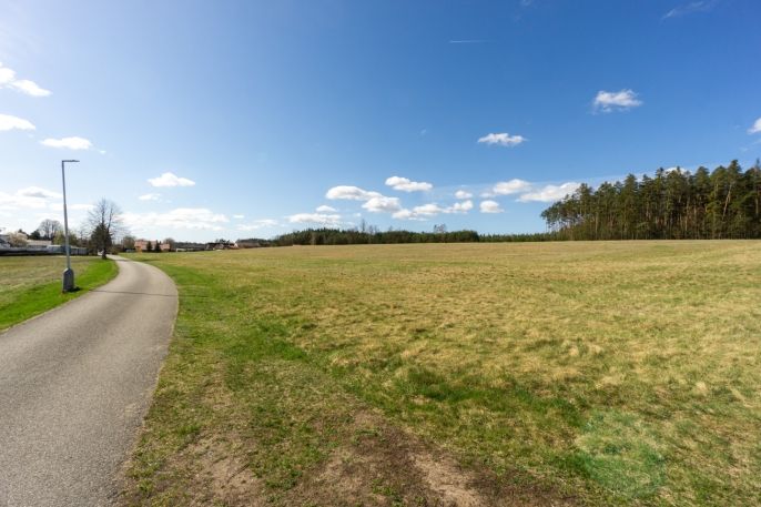 Prodej, Pole, Zdelov