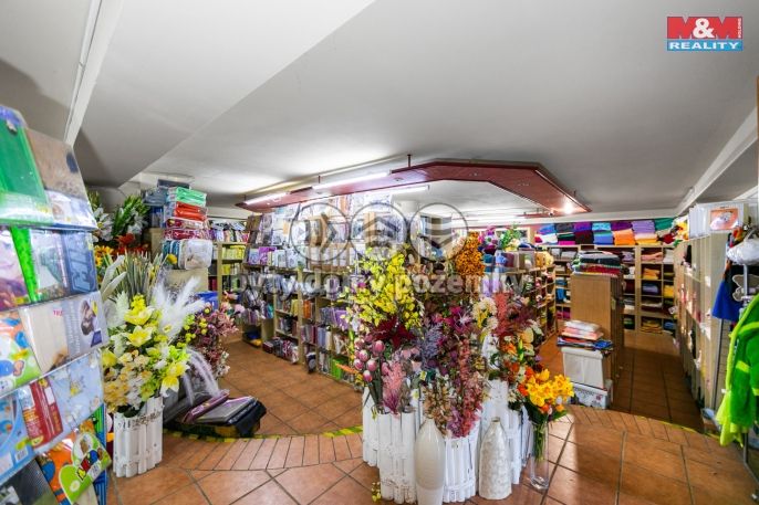 Pronájem, Obchod a služby, Domažlice