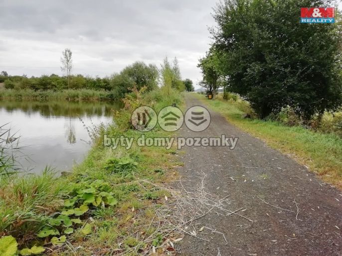 Prodej, Vodní plocha, Chotiměř