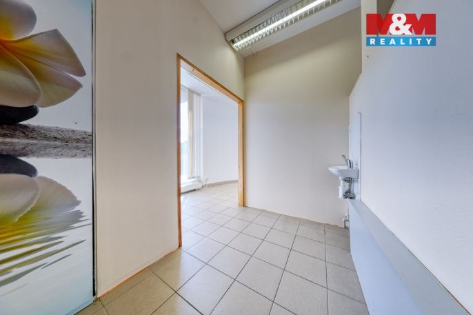 Pronájem, Obchod a služby, Písek