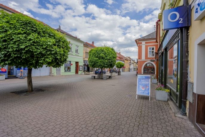 Pronájem, Obchod a služby, Čáslav